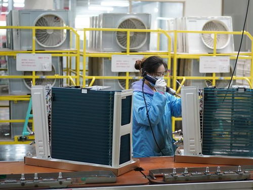 稳字当头抓落实，增品种、提品质、创品牌 三措并举驱动家电产业高质量发展